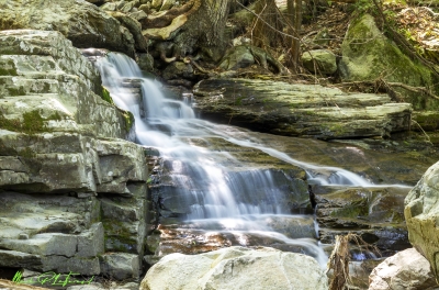 Abbey Pond Trail 2024
